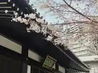 観音寺の自然