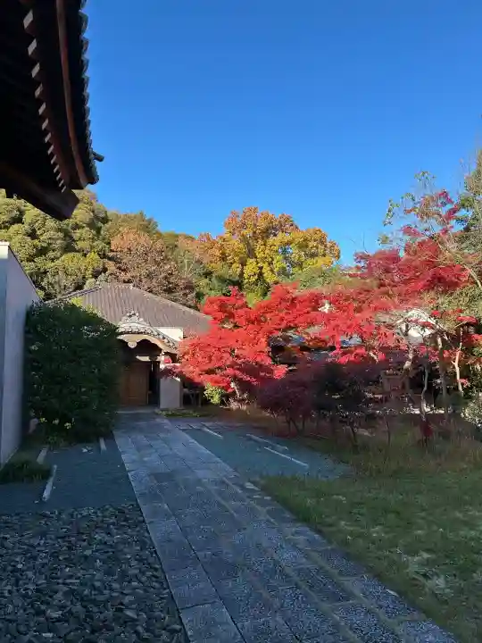 大森寺(愛知県)