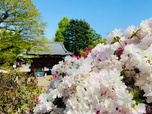 根津神社の景色