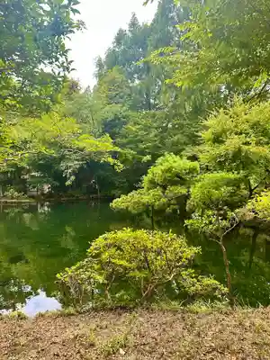 深大寺(東京都)