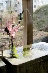 釧路一之宮 厳島神社(北海道)