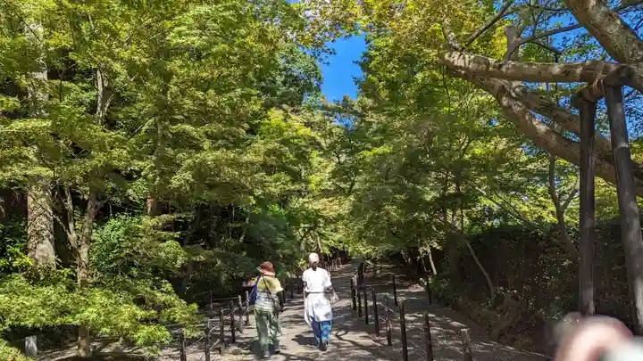 光明寺(粟生光明寺)(京都府)