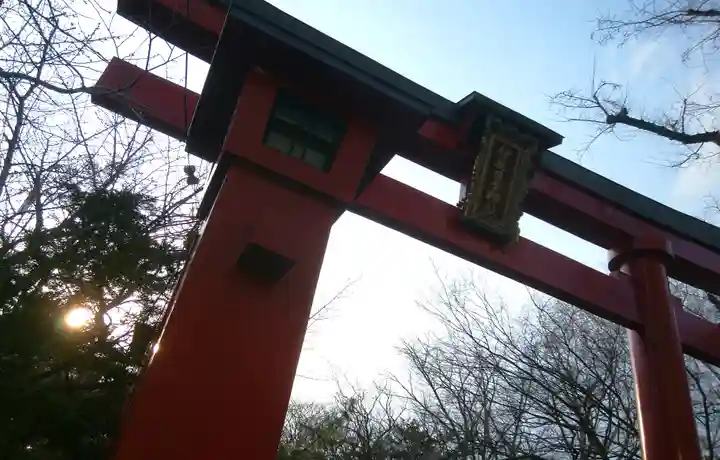 彌彦神社 (伊夜日子神社)の鳥居