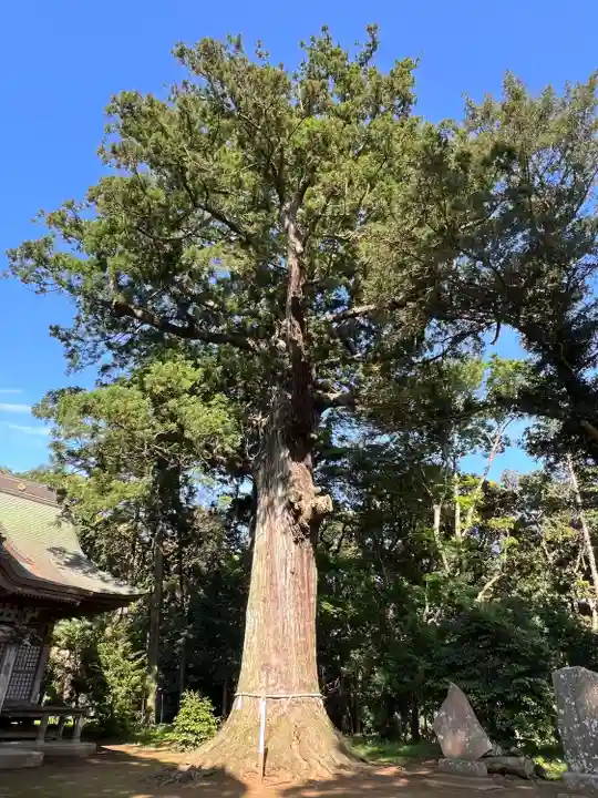松山神社(千葉県)