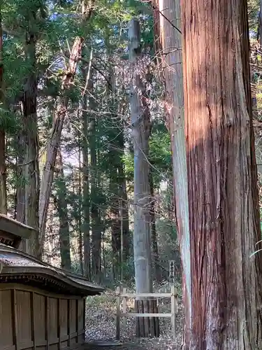 諏訪大社下社春宮(長野県)