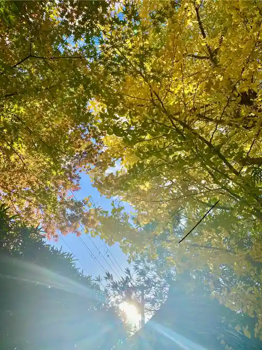 木食寺安祥院(京都府)