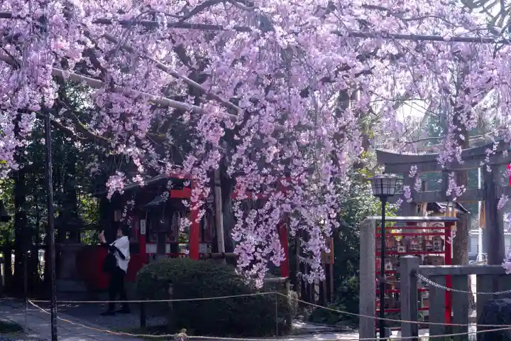 水火天満宮(京都府)