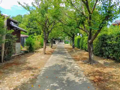 神明社（生出本町）の建物その他