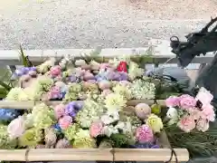 江南神社(北海道)