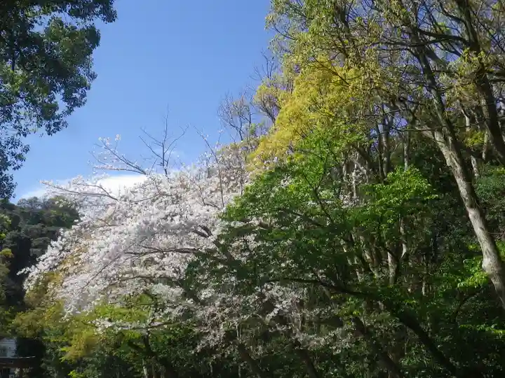 鶴岡八幡宮の自然