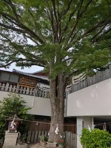 出雲大社美作分院(岡山県)