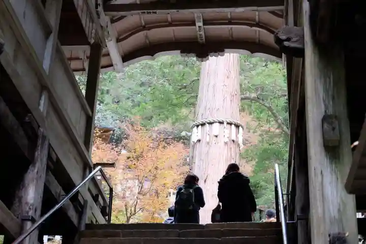 由岐神社(京都府)