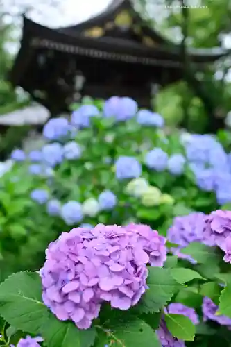 妙楽寺(神奈川県)