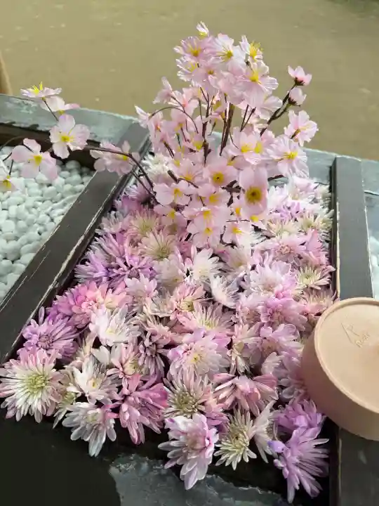 根岸八幡神社の{uncategorized: "未分類", other: "その他", undefined: "問題あり", building: "その他建物", grave: "お墓", sacred_gate: "鳥居", guardian: "狛犬", statue: "像", buddha: "仏像", history: "歴史", nature: "自然", garden: "庭園", animal: "動物", pagoda: "塔", temizu: "手水舎", mountain_gate: "山門・神門", sanctuary: "本殿・本堂", subordinate: "末社・摂社", art: "芸術", scenery: "景色", jizo: "地蔵", ema: "絵馬", goshuin: "御朱印", omikuji: "おみくじ", items: "授与品その他", amulet: "お守り", goshuincho: "御朱印帳", eats: "食事", festival: "お祭り", votive_dance: "神楽", shichigosan: "七五三参", wedding: "結婚式", experience: "体験その他", initially: "初詣", around: "周辺", anti_infection: "感染症対策"}