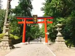 大崎八幡宮の鳥居