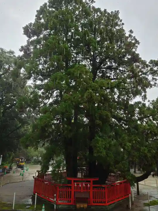 香椎宮(福岡県)