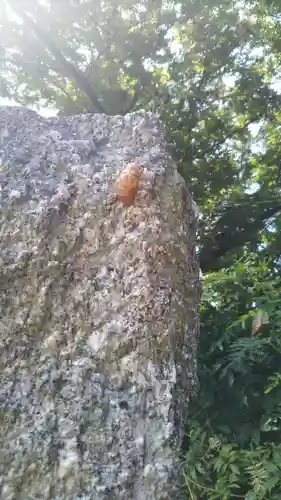 千方神社の自然