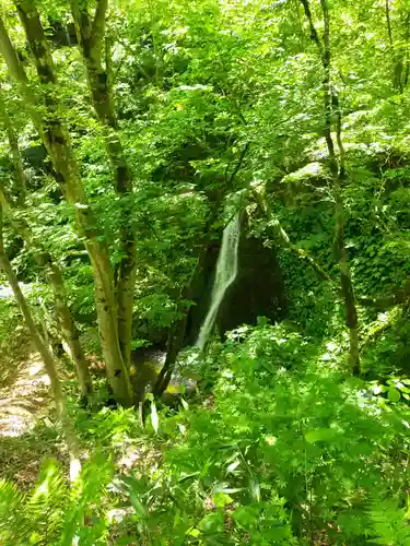 大山祇神社の自然