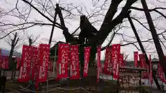 秩父今宮神社の自然