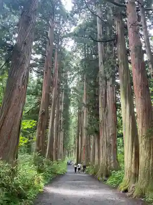 戸隠神社奥社(長野県)