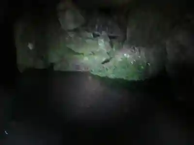 平等寺(徳島県)