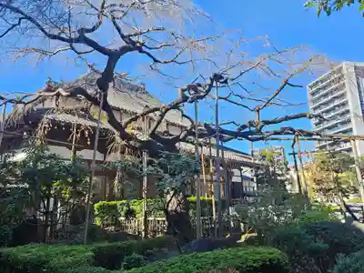 圓蔵寺(埼玉県)