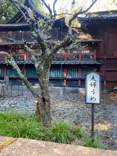 北口本宮冨士浅間神社(山梨県)