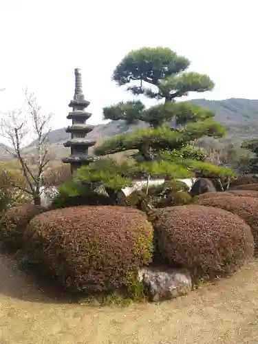 観照寺の庭園