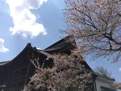 毫攝寺(福井県)