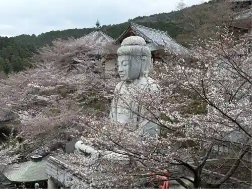 南法華寺（壷阪寺）(奈良県)