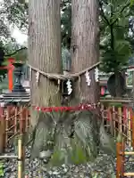 櫛引八幡宮の自然