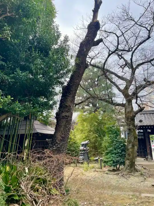 臨江寺の{uncategorized: "未分類", other: "その他", undefined: "問題あり", building: "その他建物", grave: "お墓", sacred_gate: "鳥居", guardian: "狛犬", statue: "像", buddha: "仏像", history: "歴史", nature: "自然", garden: "庭園", animal: "動物", pagoda: "塔", temizu: "手水舎", mountain_gate: "山門・神門", sanctuary: "本殿・本堂", subordinate: "末社・摂社", art: "芸術", scenery: "景色", jizo: "地蔵", ema: "絵馬", goshuin: "御朱印", omikuji: "おみくじ", items: "授与品その他", amulet: "お守り", goshuincho: "御朱印帳", eats: "食事", festival: "お祭り", votive_dance: "神楽", shichigosan: "七五三参", wedding: "結婚式", experience: "体験その他", initially: "初詣", around: "周辺", anti_infection: "感染症対策"}