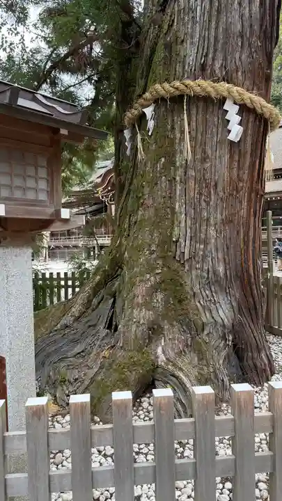 大神神社(奈良県)