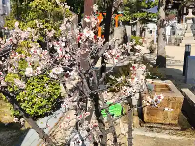 打出天神社(兵庫県)