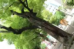 御霊神社(大阪府)