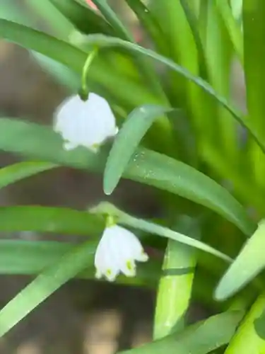 西方山極楽寺(岐阜県)