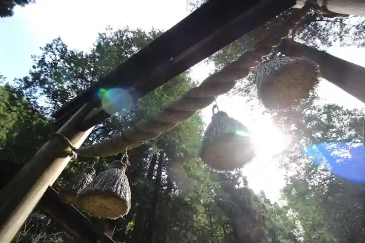 武蔵二宮 金鑚神社(埼玉県)