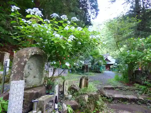阿弥陀寺の自然
