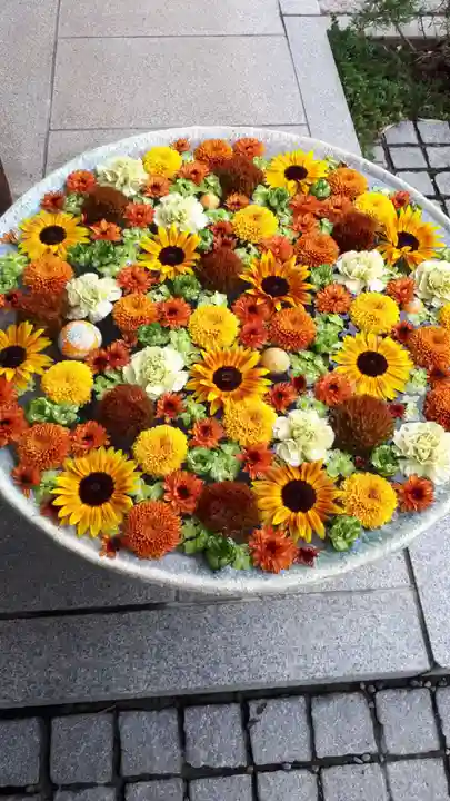 行田八幡神社の手水舎