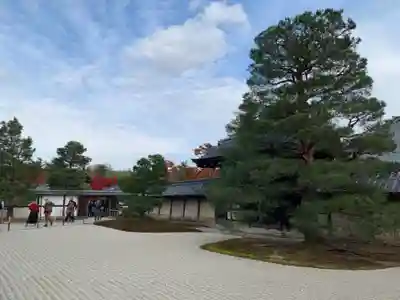 天龍寺の庭園