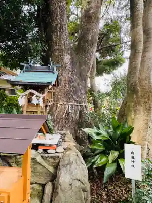 芳養八幡神社(和歌山県)