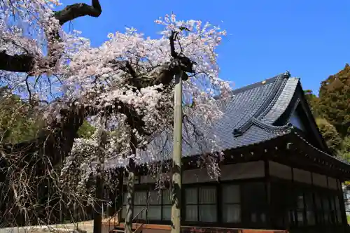 柳生院の本殿