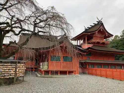 富士山本宮浅間大社(静岡県)