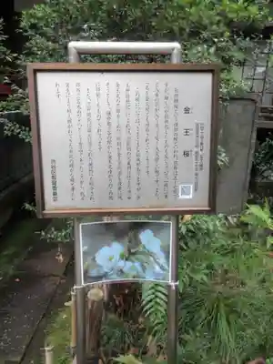 金王八幡宮の歴史