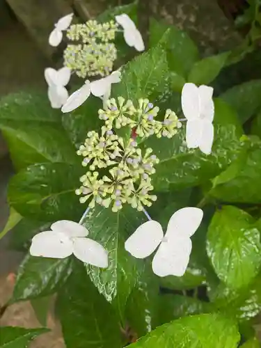 彦嶽宮(熊本県)