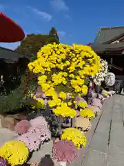 笠間稲荷神社(茨城県)