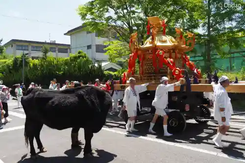 今宮神社(京都府)