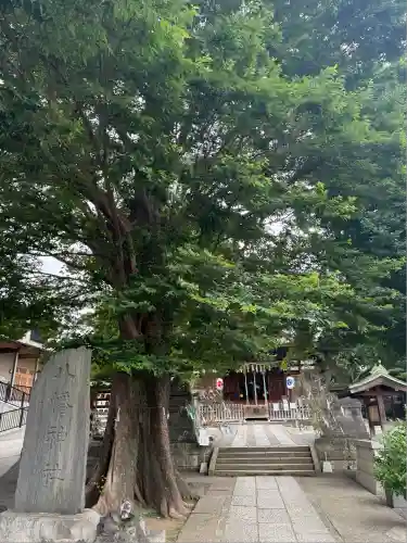 滝野川八幡神社(東京都)