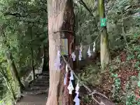 岩屋神社(高知県)