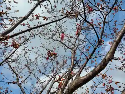春日神社の自然